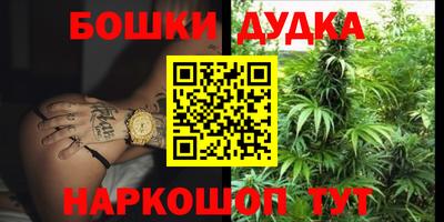 индика Балашиха