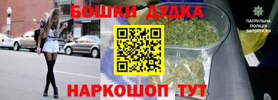 индика Балашиха