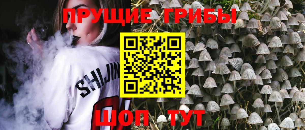 Марихуана  ТГК  КОКАИН  А ПВП СК   Лсд 25  КЕТАМИН  Городец  Меф кристаллы  Как найти наркотики?  МЕТ  Меф кристаллы  Кодеин  КОКАИН 
